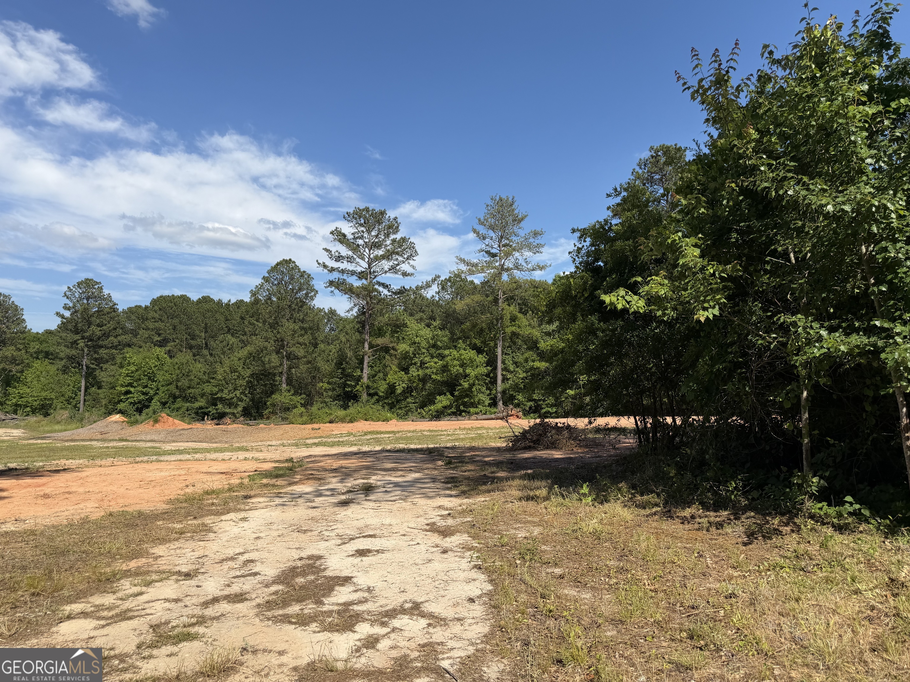 1330 Steele Road Griffin, GA 30223 - Photo 3 of 5