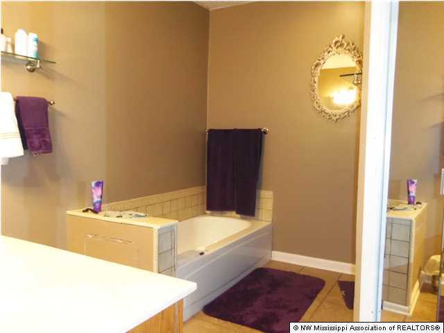 591 Peavine Road Coldwater, MS 38618 - Photo 14 of 28 Additional Photo