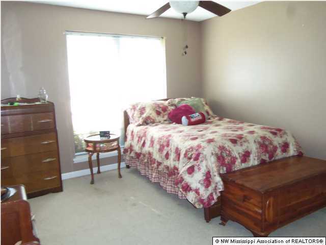 591 Peavine Road Coldwater, MS 38618 - Photo 16 of 28 Additional Photo