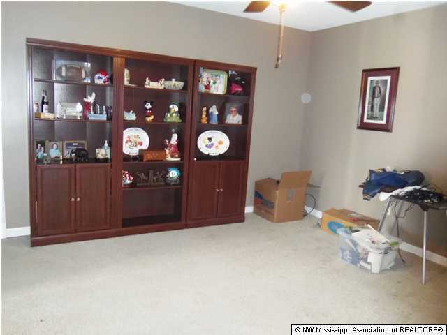591 Peavine Road Coldwater, MS 38618 - Photo 19 of 28 Additional Photo