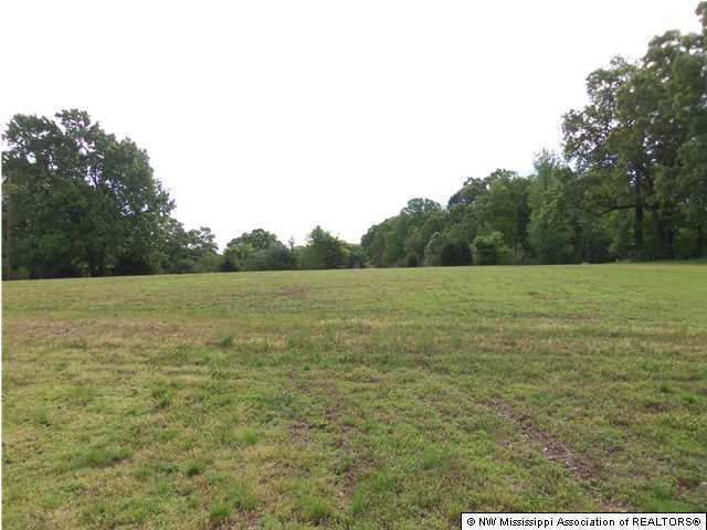 591 Peavine Road Coldwater, MS 38618 - Photo 2 of 28 Additional Photo