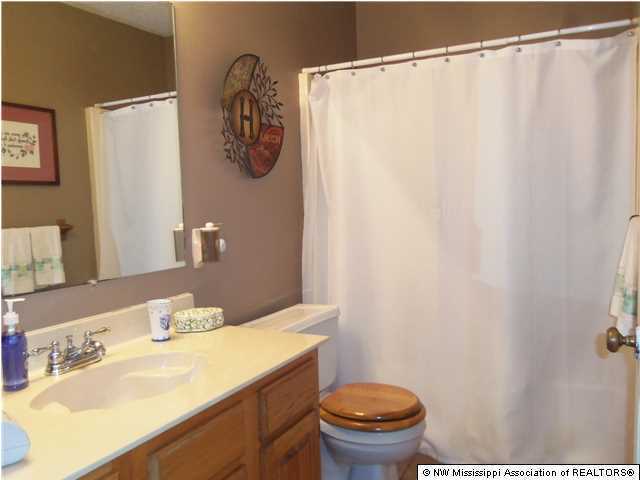 591 Peavine Road Coldwater, MS 38618 - Photo 21 of 28 Additional Photo