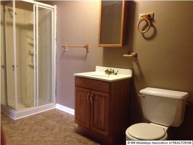 591 Peavine Road Coldwater, MS 38618 - Photo 22 of 28 Additional Photo