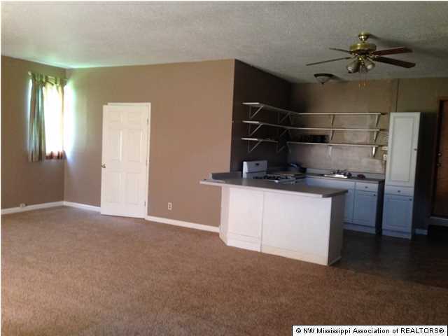 591 Peavine Road Coldwater, MS 38618 - Photo 24 of 28 Additional Photo