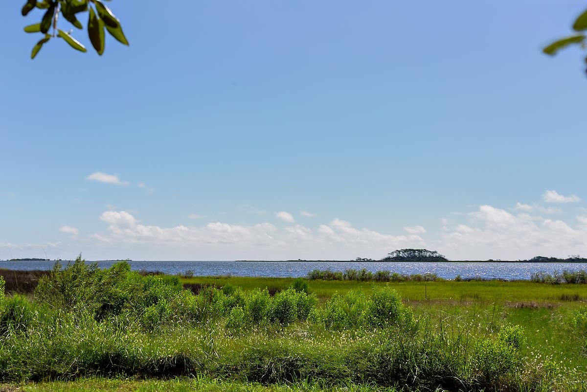216 Levy Bay Road Panacea, FL 32346 - Photo 42 of 45 Gallery Image 42