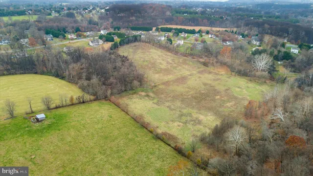 a view of a park with large trees