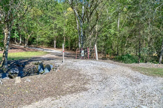 a view of a park with large trees