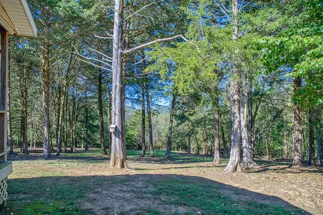a view of outdoor space with trees all around