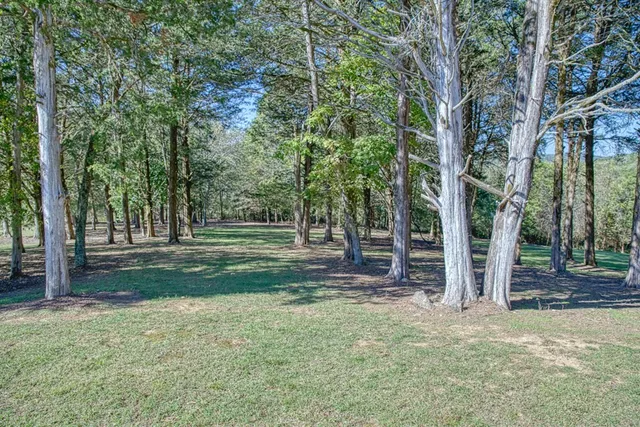a view of a yard with large trees