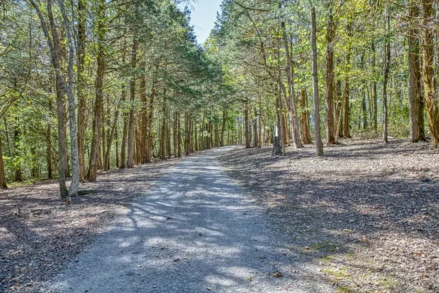 a front view of a house with yard