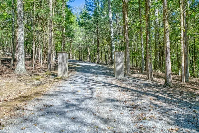 a backyard of a house with lots of green space