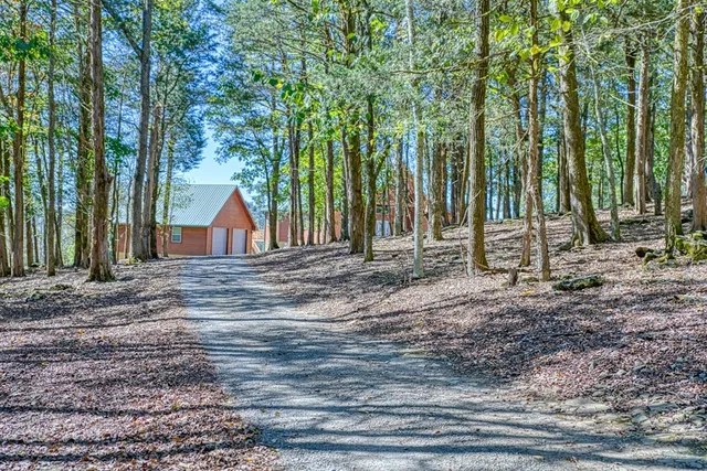 a view of wooden fence and trees