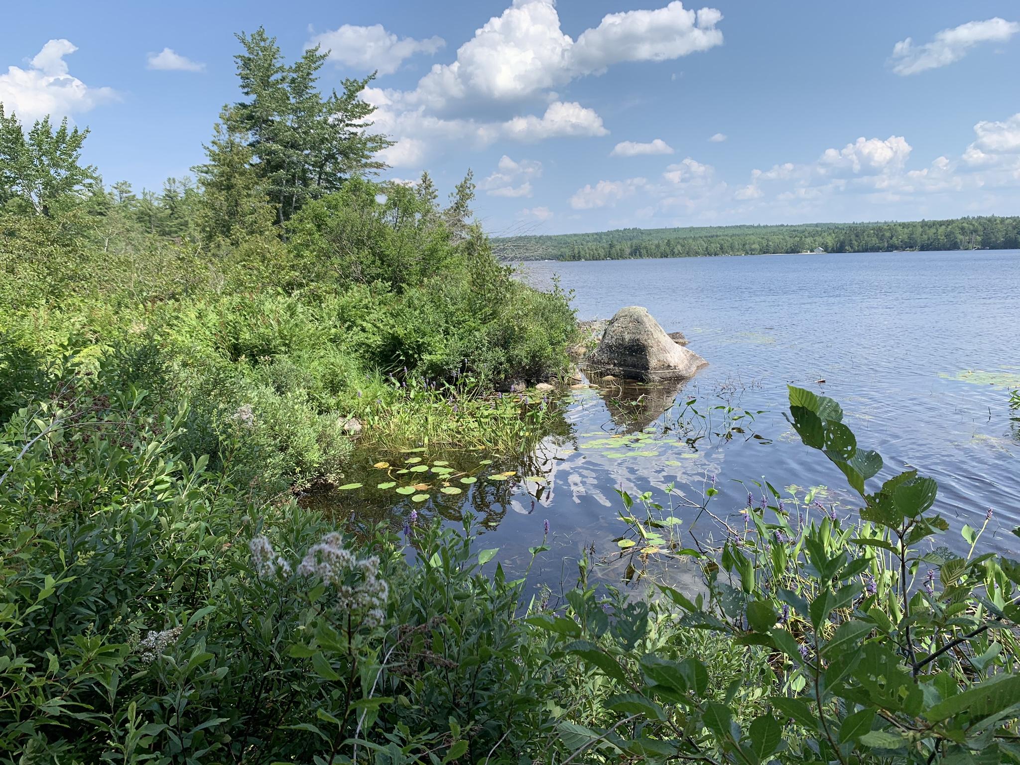 Lot 20 Madagascal Pond Road Burlington, ME 04417 - Photo 4 of 12 IMG_1979