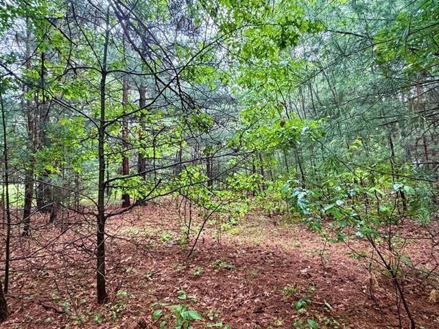 1.03-acres County Rd X Schofield, WI 54476 - Photo 6 of 10
