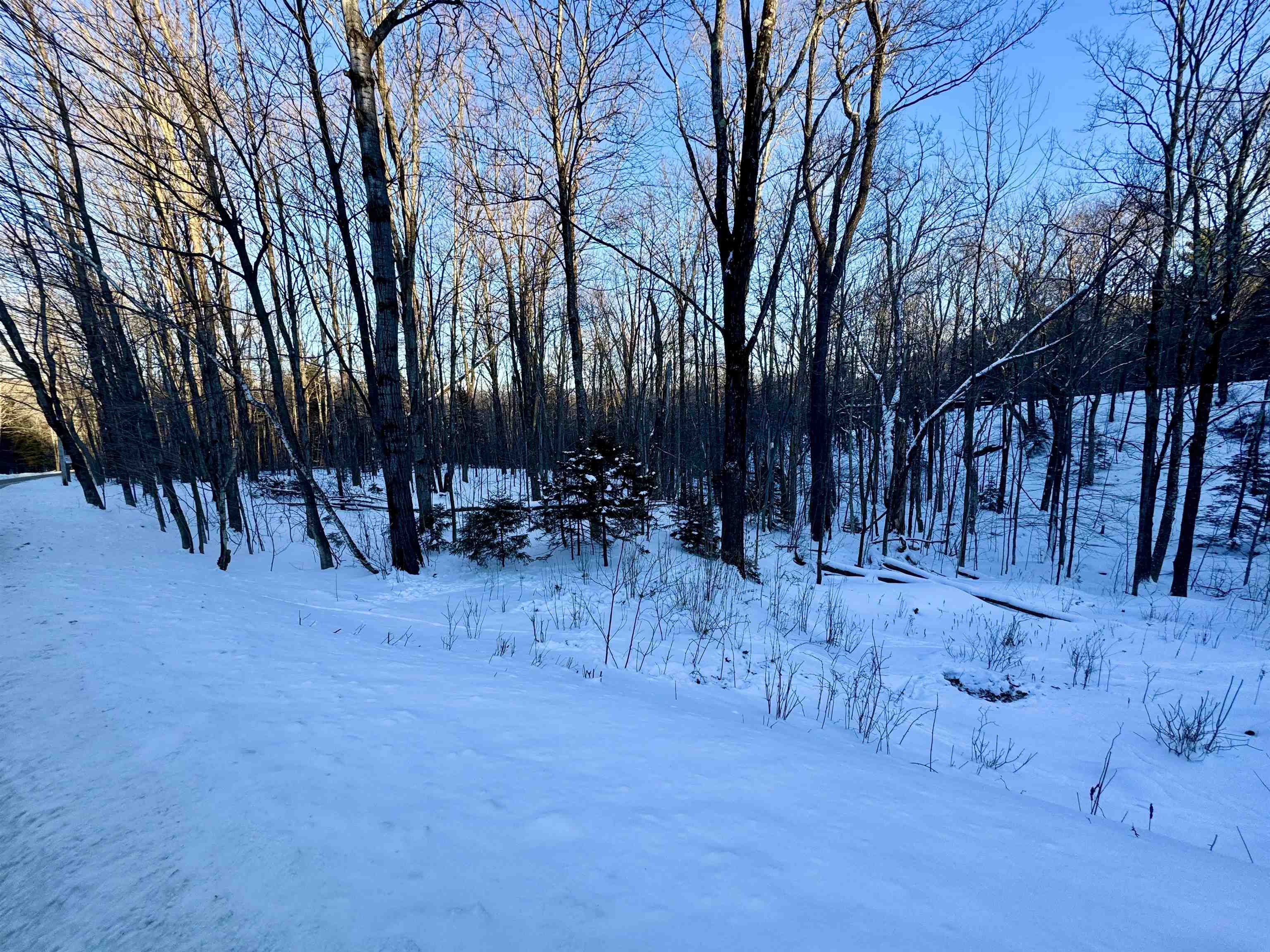 1739 West Hill Road Warren, VT 05674 - Photo 3 of 5