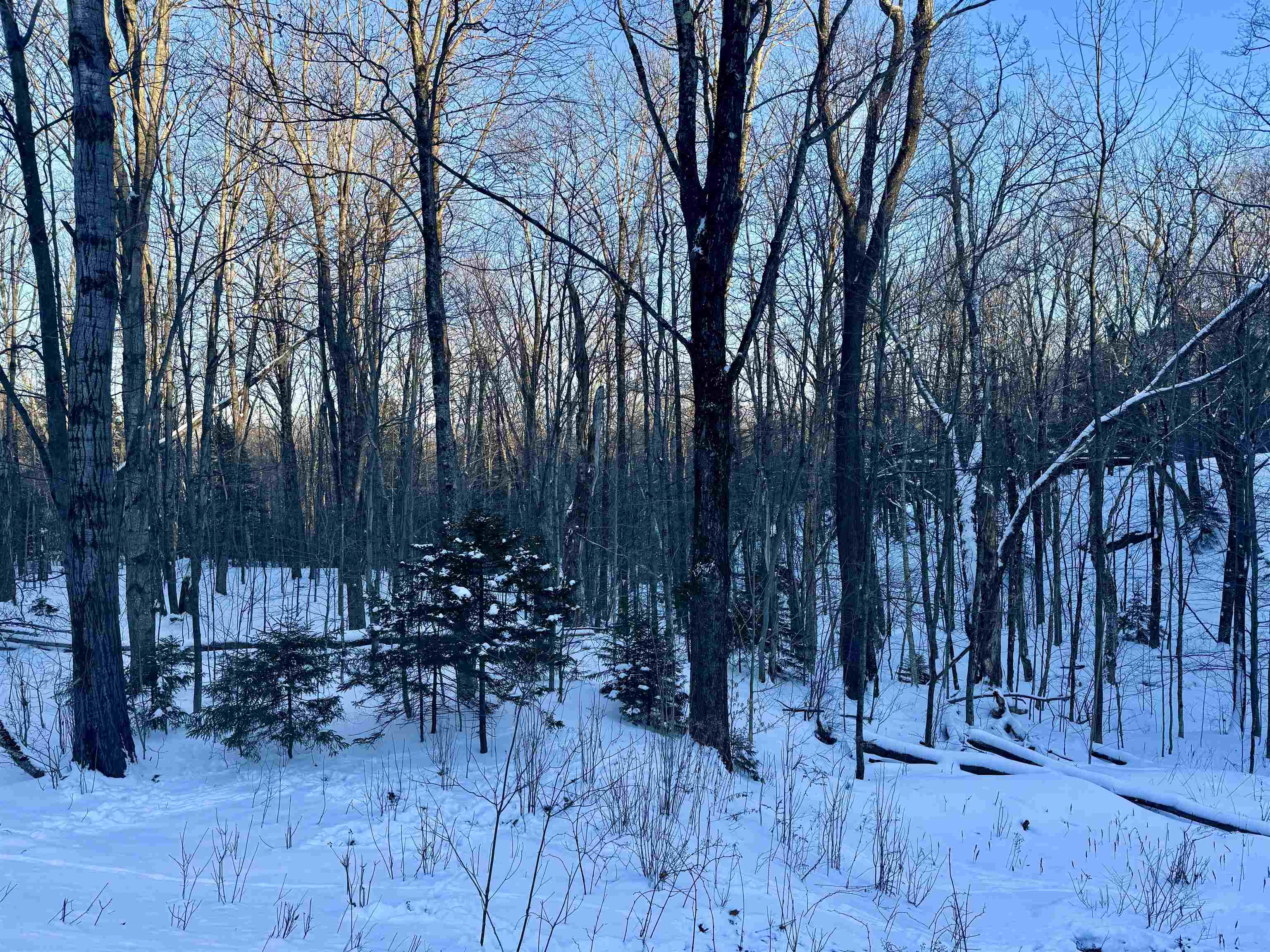 1739 West Hill Road Warren, VT 05674 - Photo 4 of 5