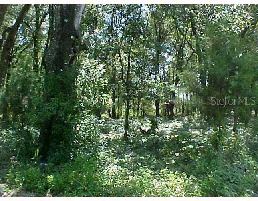 Spring Garden DeLand, FL 32720 - Photo 1 of 1 Land