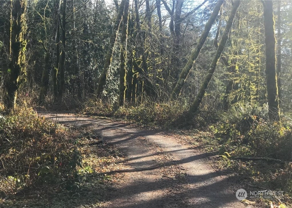 0 Butts Road Morton, WA 98356 - Photo 8 of 10 a view of outdoor space with trees