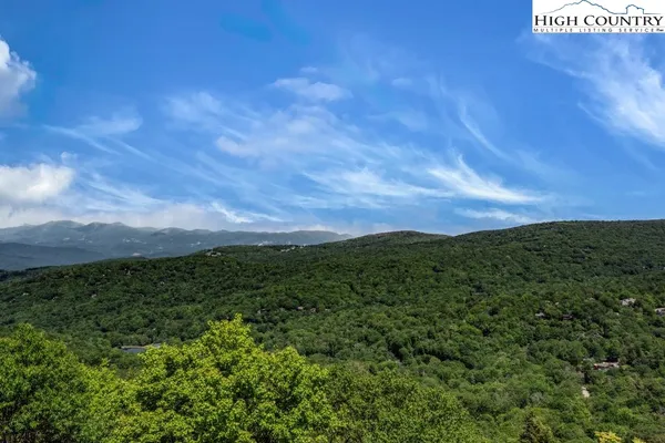 a view of a lush green space with sea