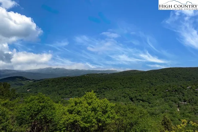 a view of a big yard with lots of green space
