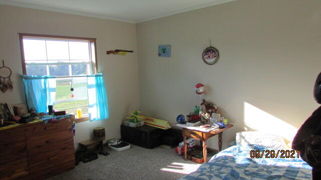 13800 Folks Road Hanover, MI 49241 - Photo 46 of 80 IMG_0235