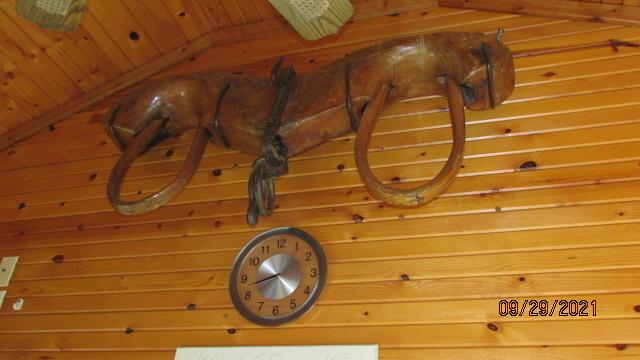 13800 Folks Road Hanover, MI 49241 - Photo 62 of 80 IMG_0274
