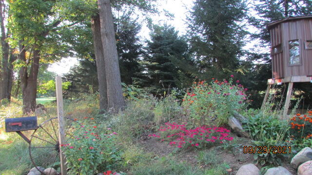 13800 Folks Road Hanover, MI 49241 - Photo 73 of 80 IMG_0281