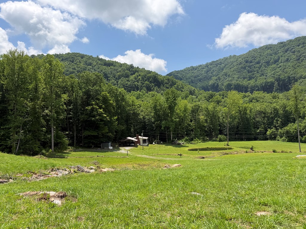 1446 Muskrat Creek Road Hayesville, NC 28904 - Photo 92 of 108