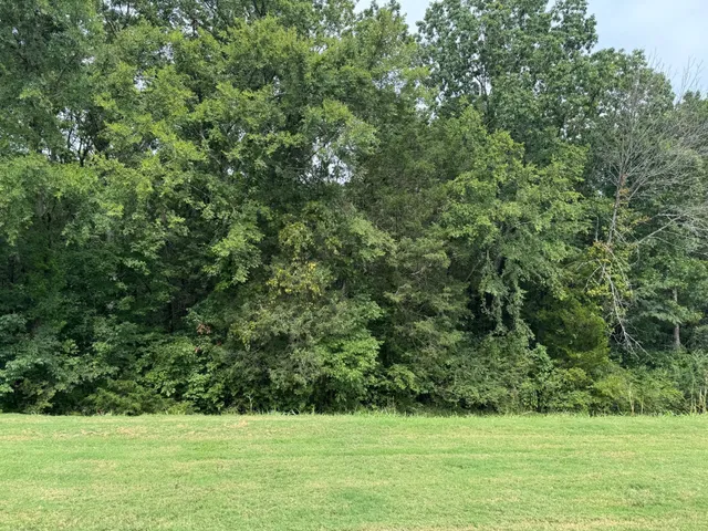 a view of a green field with wooden fence