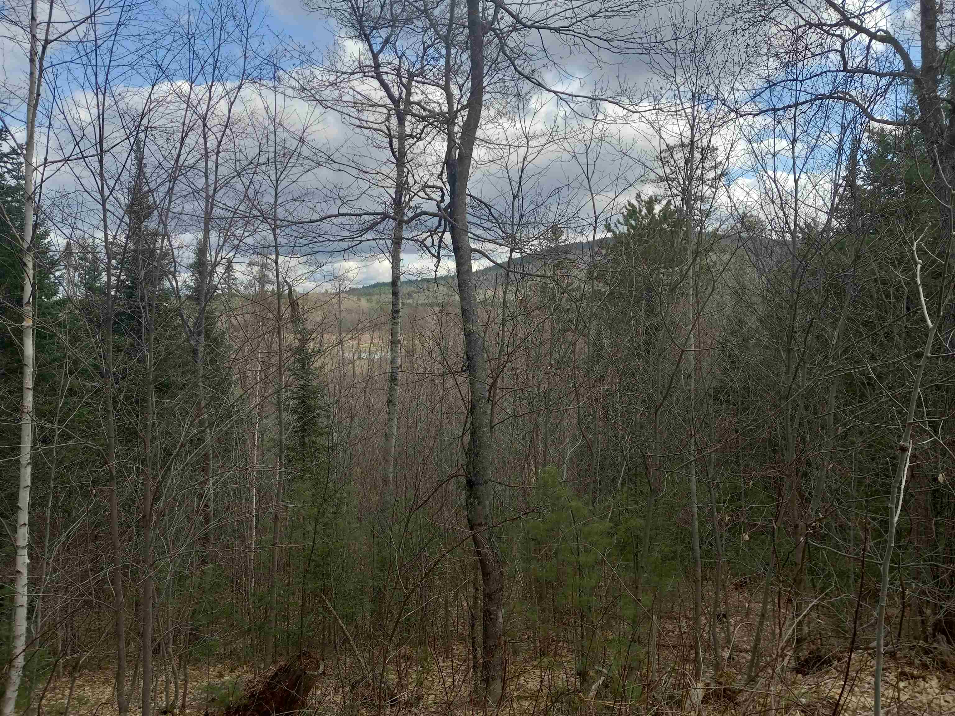 319 Pine River Road Effingham, NH 03882 - Photo 8 of 9 Gallery Image 8