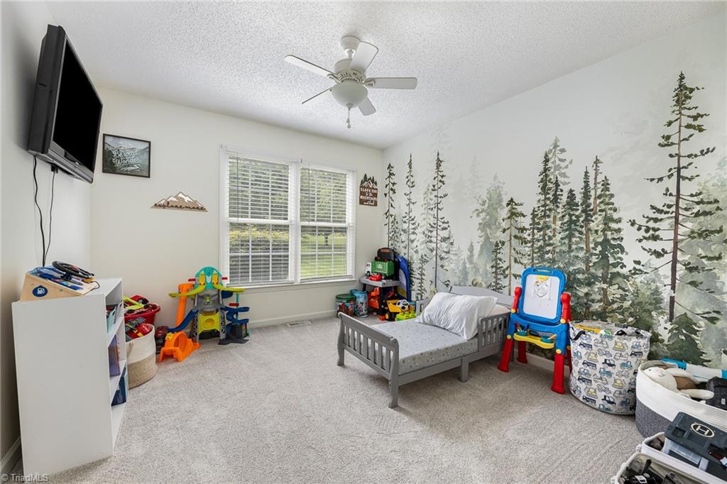235 Eldora Road Ararat, NC 27007 - Photo 18 of 28 Gallery Image 18