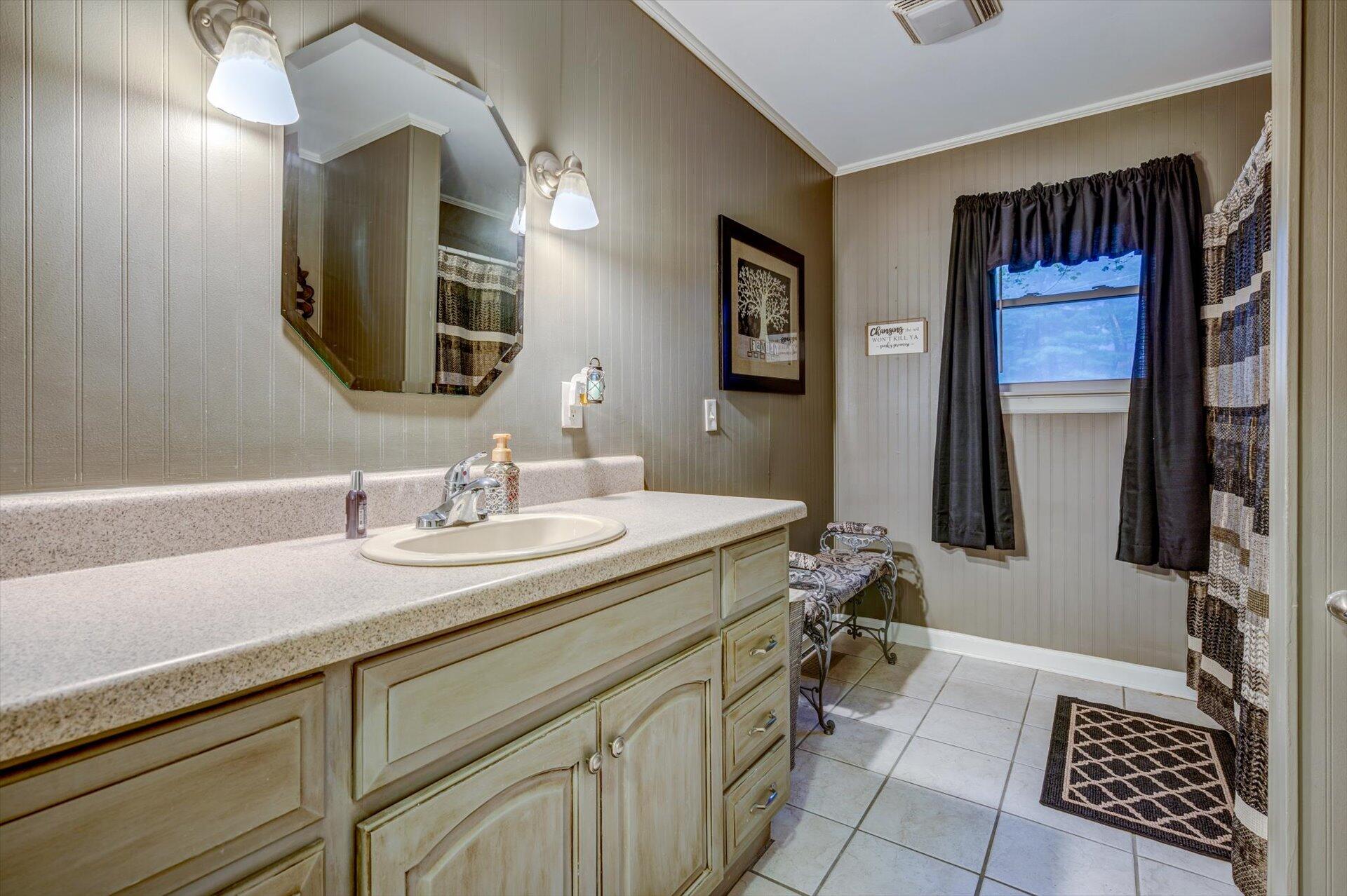 772 Skyview Road Salem, VA 24153 - Photo 15 of 41 a bathroom with a sink and a mirror
