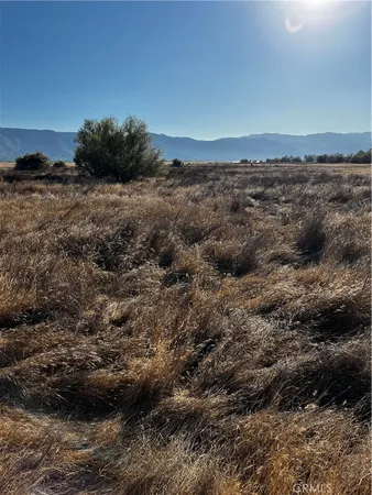 a view of a field
