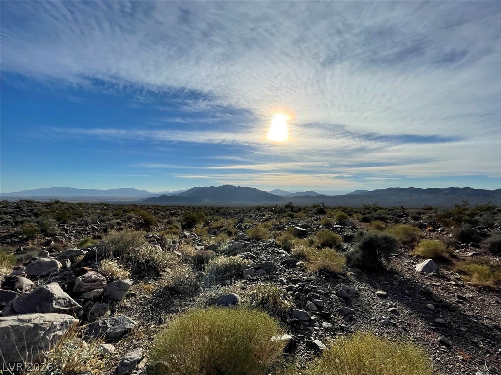 12470 North Blagg Road Pahrump, NV 89060 - Photo 3 of 5 representative of the area