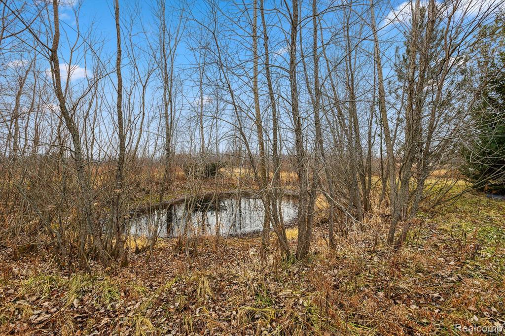 5293 Wilson Road Columbiaville, MI 48421 - Photo 29 of 32