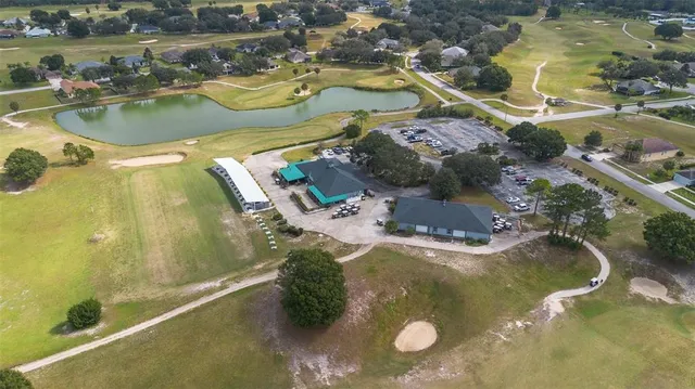 a view of a yard with palm trees