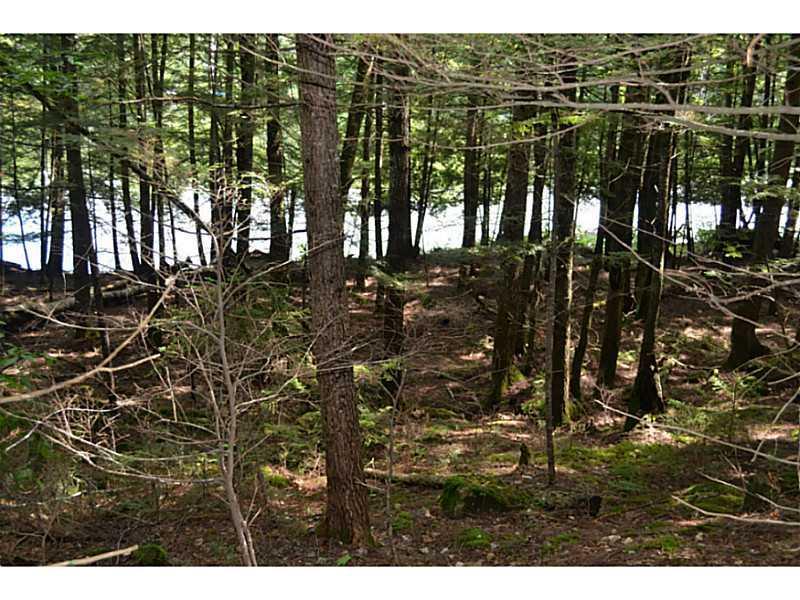 Lot 46 Seymour Cove Road Dover-Foxcroft, ME 04426 - Photo 5 of 7 Exterior Front.
