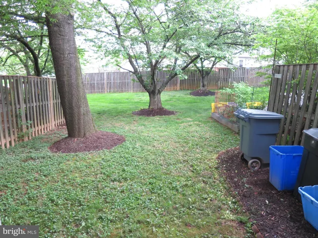 a view of a backyard with wooden fence and a large tree