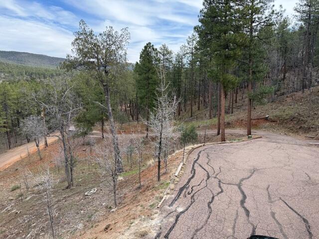 9773 Juniper Road Strawberry, AZ 85544 - Photo 18 of 18