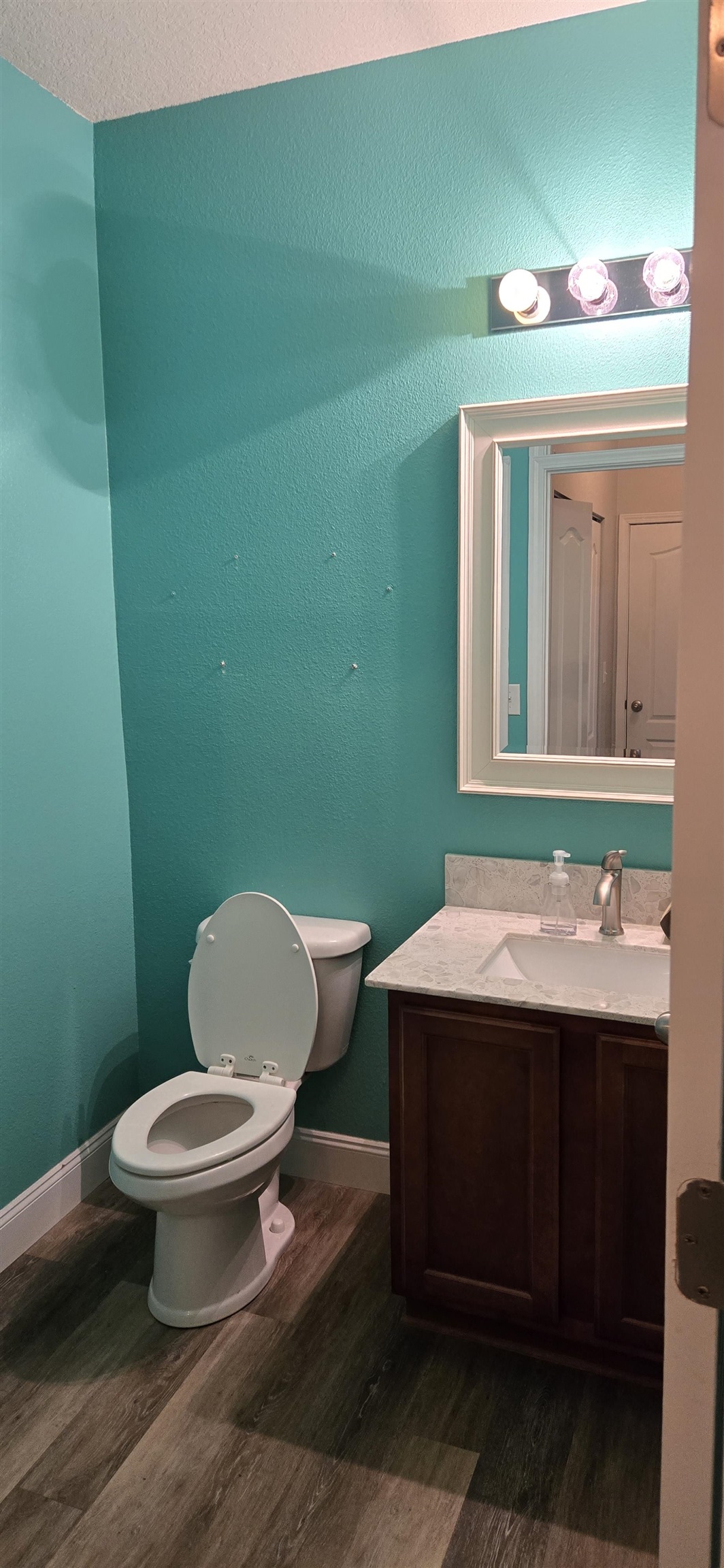 194 Ashby Lndg Way St. Augustine, FL 32086 - Photo 5 of 12 a bathroom with a toilet a sink and mirror