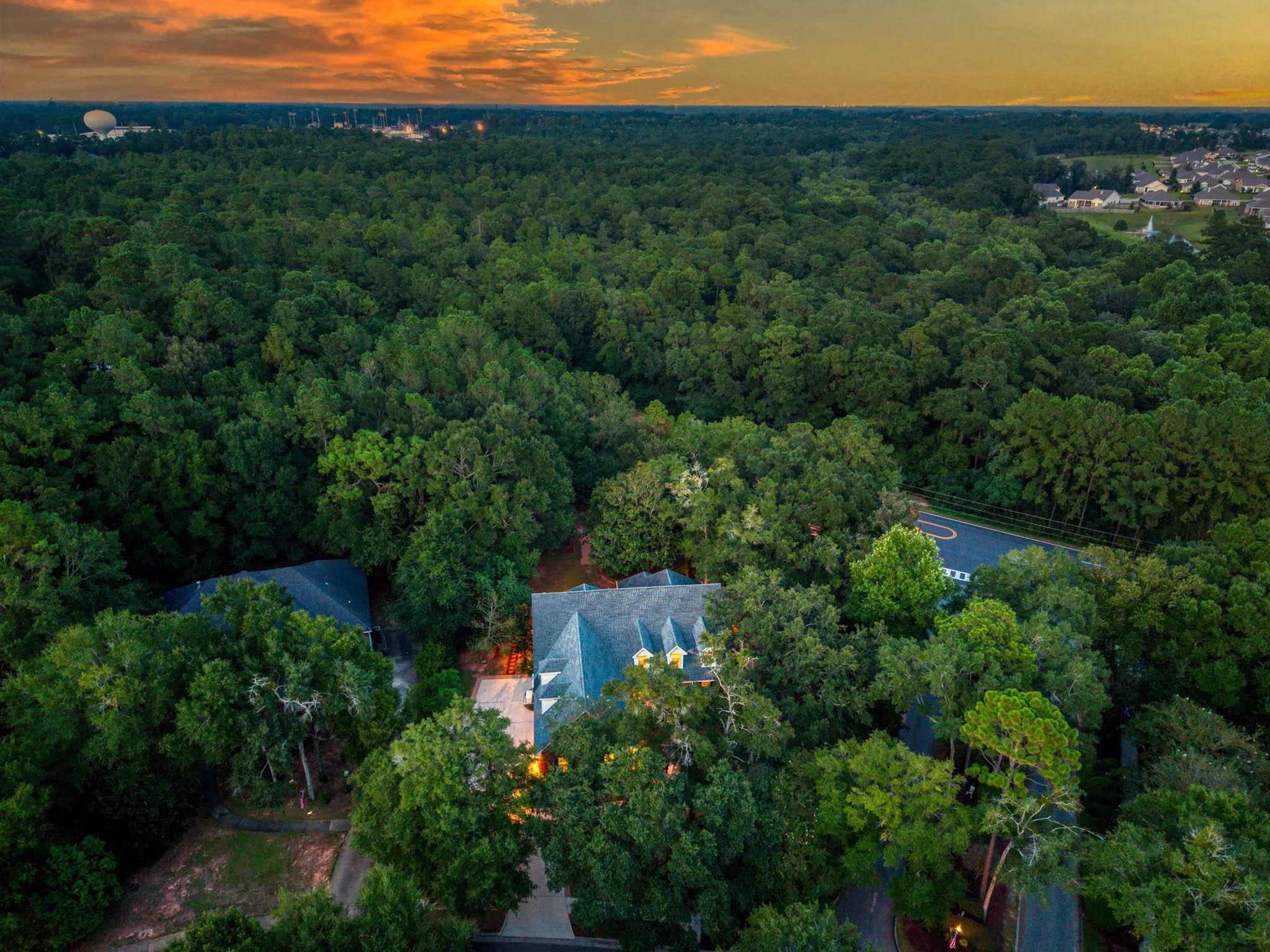 8955 North Lamhatty Lane Daphne, AL 36526 - Photo 66 of 73 Aerial View