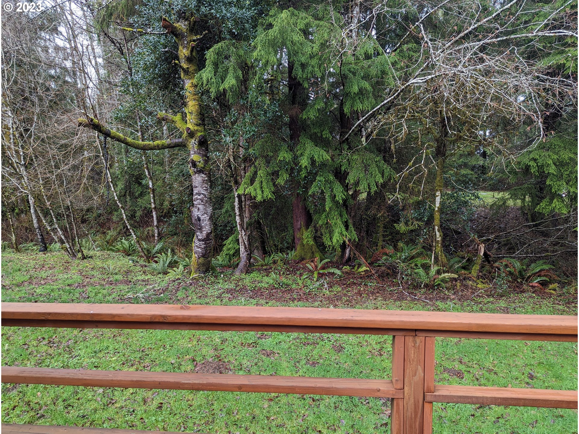 245 Knappton Road Naselle, WA 98638 - Photo 13 of 21 Gallery Image 13