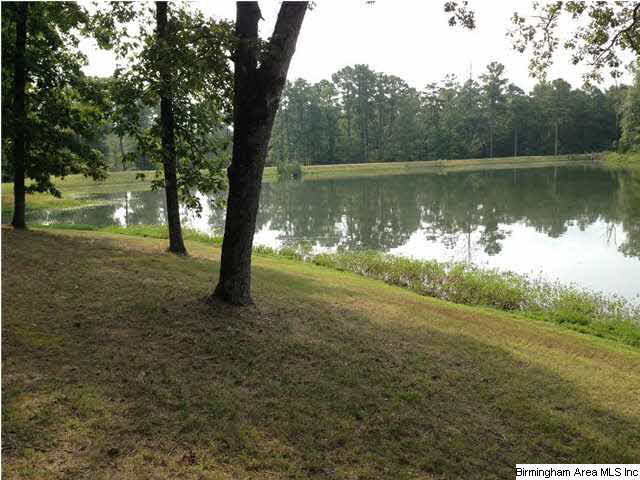 1277 Chelsea Road Columbiana, AL 35051 - Photo 5 of 6