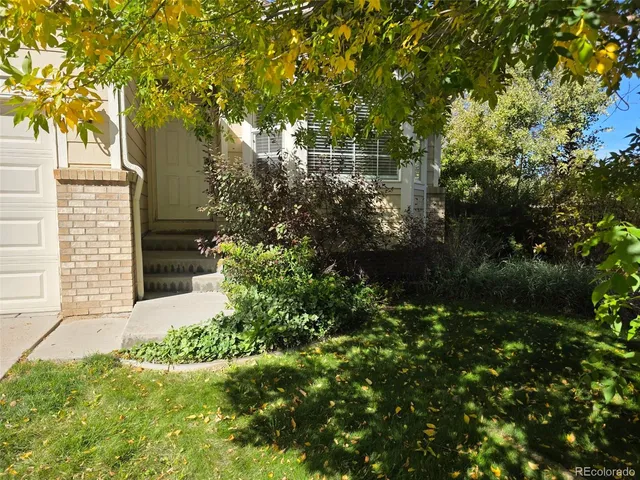 a view of bushes and pathway