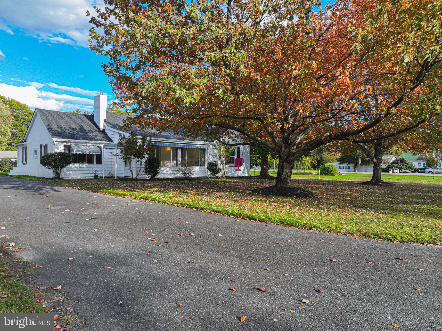 506 Park Avenue Ridgely, MD 21660 - Photo 42 of 59 a view of house with outdoor space and trees