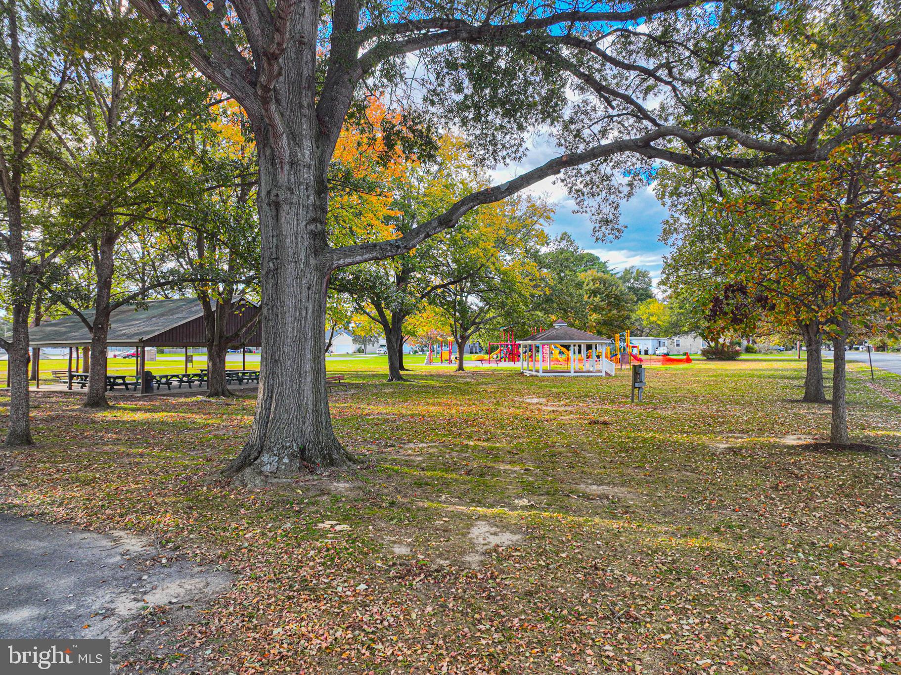 506 Park Avenue Ridgely, MD 21660 - Photo 53 of 59 a view of yard with tree