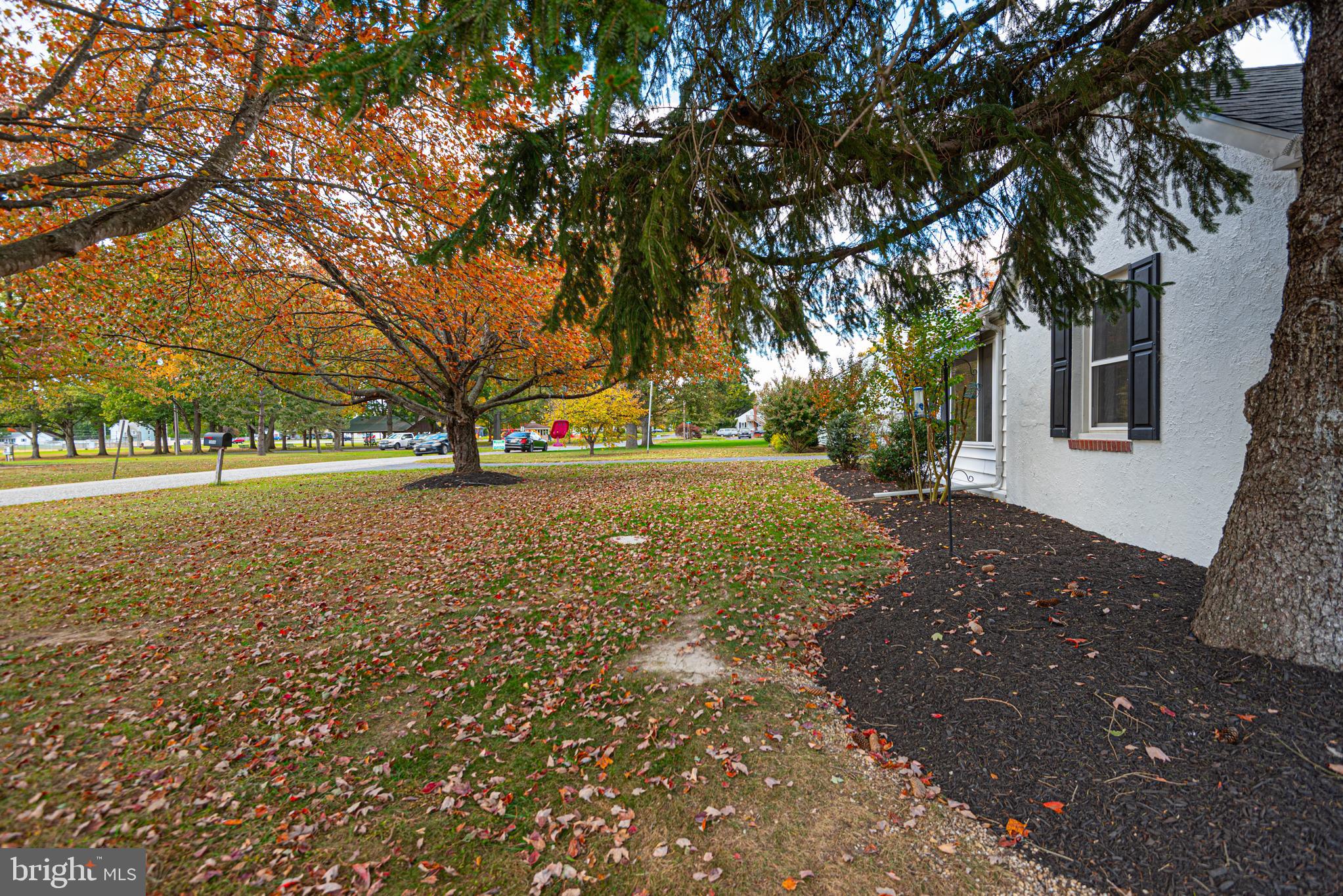 506 Park Avenue Ridgely, MD 21660 - Photo 57 of 59 a view of outdoor space with garden view