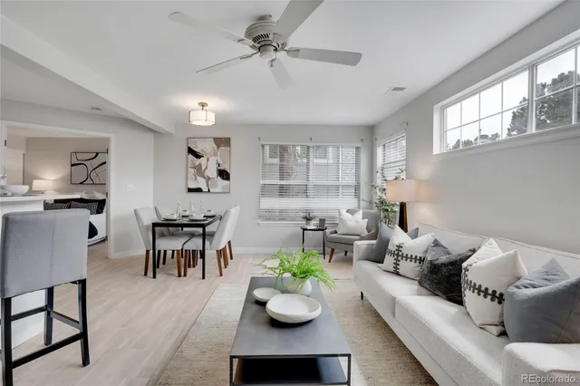 a living room with furniture potted plant and a window