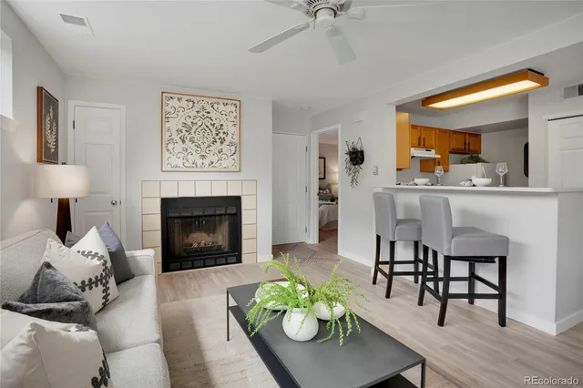 a living room with furniture and a fireplace