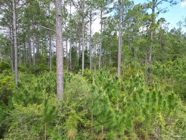 $199,080 | 8200 Grimes Road, Century, FL 32535